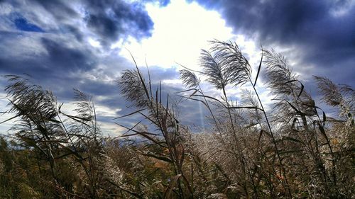 Low angle view of cloudy sky