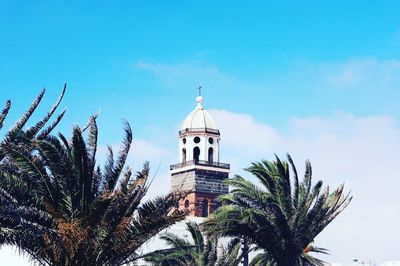 Low angle view of palm trees against sky