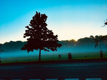 Tree by road against clear sky