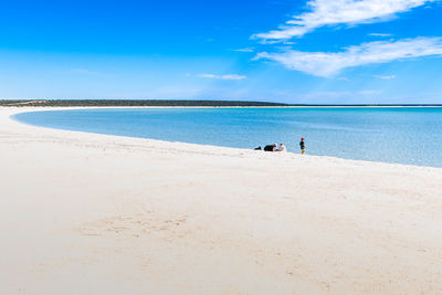 People at beach against blue sky