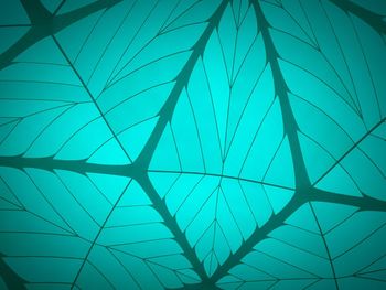 Low angle view of plants against blue sky