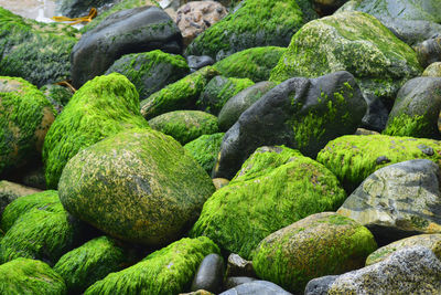 Full frame shot of rocks