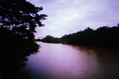 Scenic view of river in forest against sky