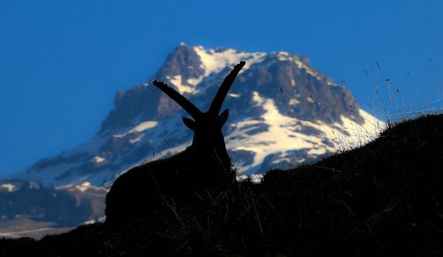 Scenic view of mountains against blue sky