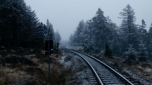 Railroad tracks amidst trees against sky