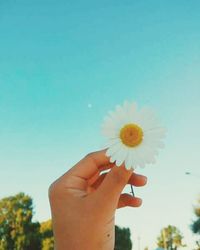 Close-up of hand holding flower against clear sky