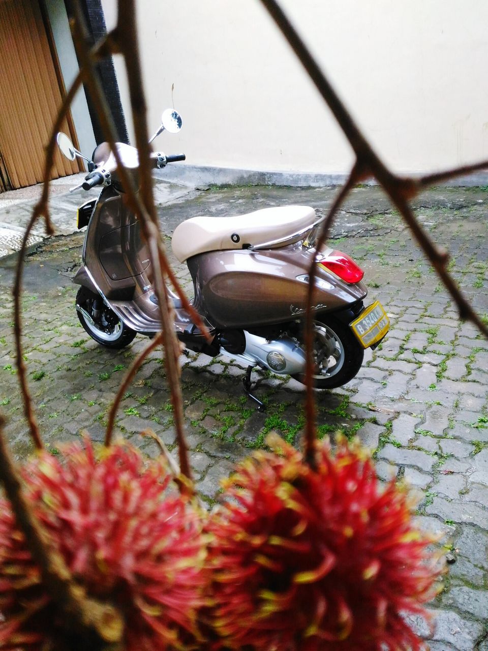 transportation, mode of transport, bicycle, flower, red, land vehicle, stationary, parking, no people, day, close-up, parked, sunlight, water, outdoors, nature, metal, focus on foreground, plant, high angle view