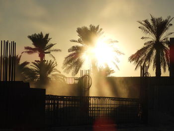 Silhouette palm trees by swimming pool against sky during sunset