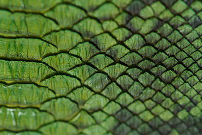 Full frame shot of multi colored background