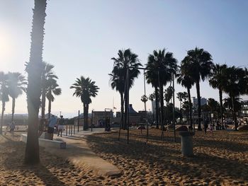 Palm trees on beach against clear sky