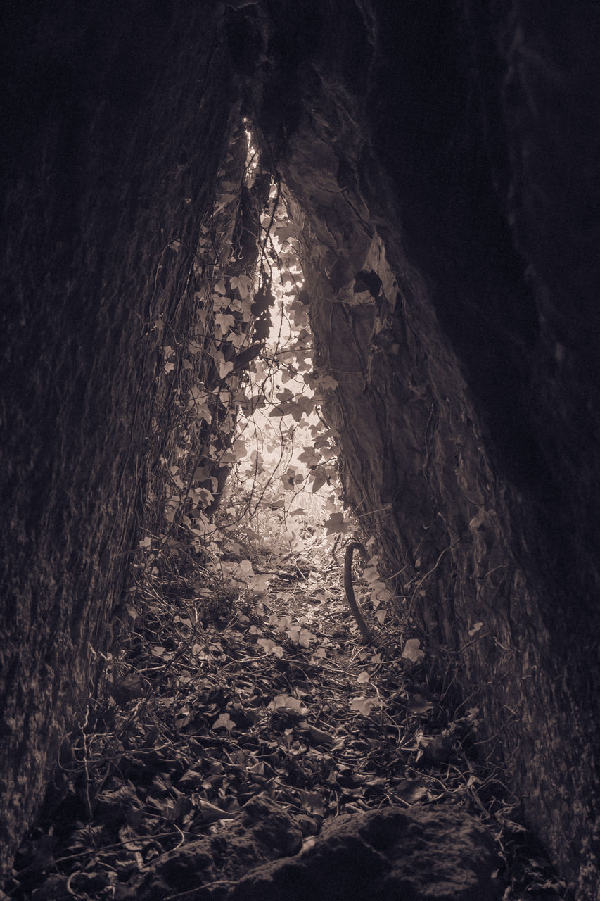 VIEW OF CAVE