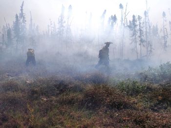 People standing on field by trees in forest