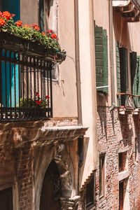 Low angle view of potted plants on balcony of building