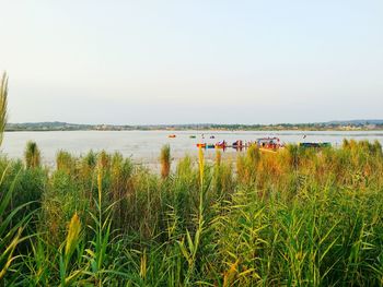 Scenic view of landscape against clear sky
