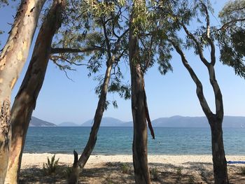 Scenic view of sea against clear sky