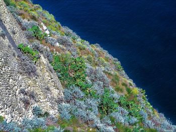 High angle view of rocks by sea