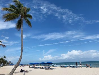 Palm trees on beach against sky