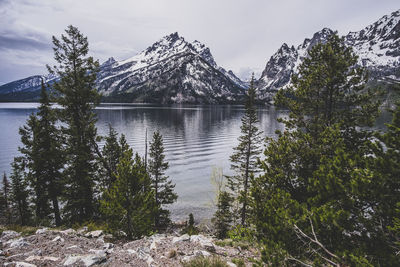 Scenic view of lake by trees against sky