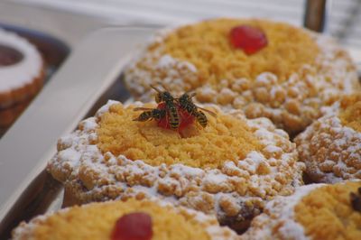 Close-up of crab on plate