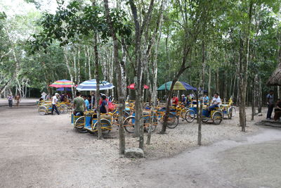 People on street against trees in city