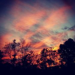 Silhouette of trees at sunset