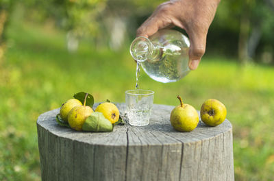 Close-up of hand holding fruit