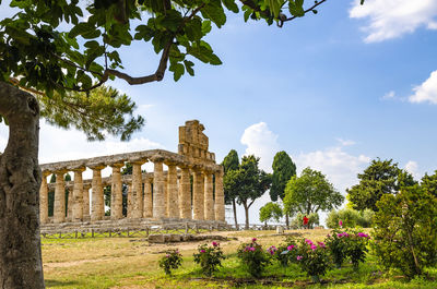 Low angle view of historical building against clear blue sky  , temple of paestum. italy