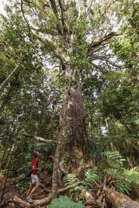 Side view of man amidst trees in forest