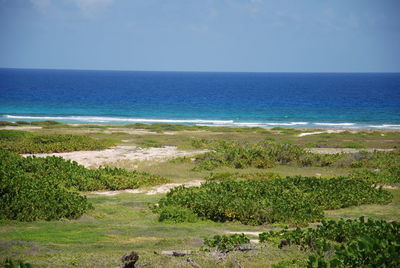 Scenic view of sea against clear sky