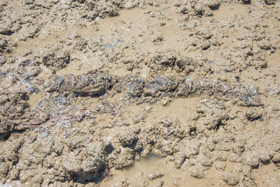 High angle view of a sand