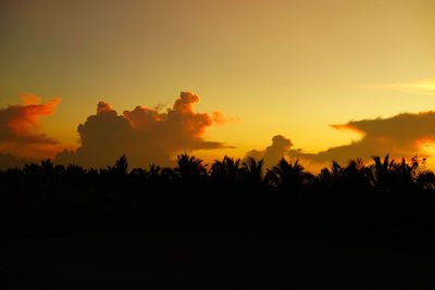 Silhouette trees against sky during sunset