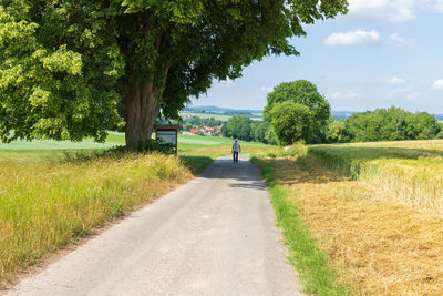 Road amidst trees on field against sky