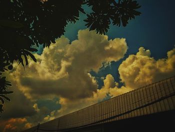 Low angle view of trees against sky during sunset