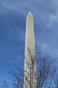 Low angle view of tree against sky