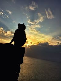 Silhouette of horse at sunset