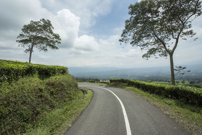 Road amidst trees against sky