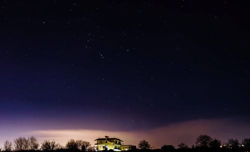 Low angle view of trees against sky at night