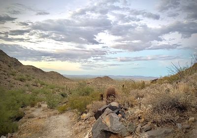 Scenic view of landscape against sky