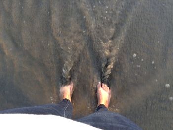 Low section of woman standing in water