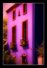 Potted plant on table against building