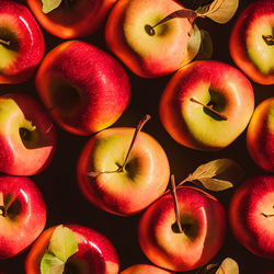 Seamless pattern of delicious ripe red and yellowish apples, raw juicy fresh apple