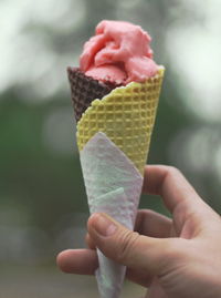 Cropped hand of person holding ice cream cone