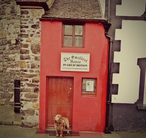 Red text on brick wall