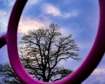 Close-up of bare tree against sky