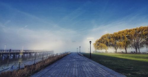 Footpath amidst trees against sky