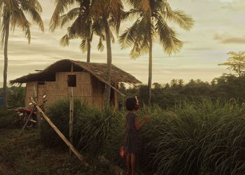Rear view of girl standing by palm trees and grasses against sky