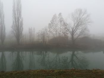 Bare trees by lake against sky