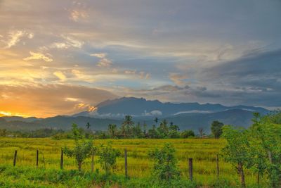 Scenic view of field against sky during sunset