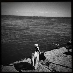 Woman standing by sea