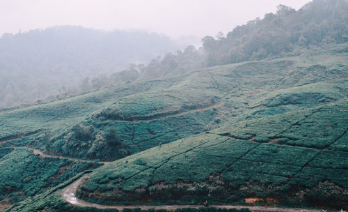 Aerial view of landscape